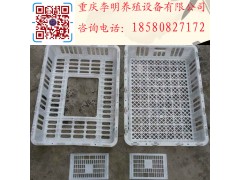 雞用運輸籠 成雞周轉籠 塑料雞籠 養(yǎng)殖運輸籠