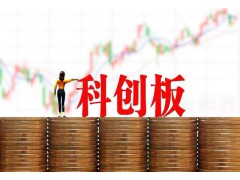 科創(chuàng)板股權(quán)項目招商加盟