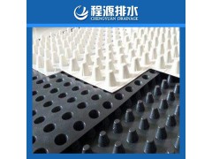 綠化塑料排水板高強度耐根刺排水板河南廠家