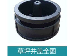 湖北龍康排水系統(tǒng)有限公司草坪井蓋黑色綠色花盆