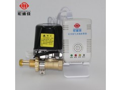宏盛高科家用天然燃氣泄漏探測器液化氣鋼瓶機械手減壓閥