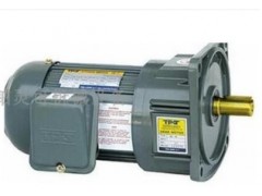 臺灣TPG三相異步電動(dòng)機(jī)GH-22-400-60S-140