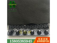 濟(jì)南車庫厚30mm凹凸型排蓄水板無紡布