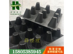 鹽城支點(diǎn)型塑料排水板）凸片車庫復(fù)合異形片