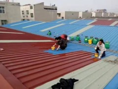天面整體防水
