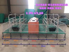 雙體母豬產床 育保一體母豬產床生產廠家