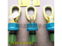 TP0.7德國JDT萬向吊環M10x18,萬向吊環質保1年