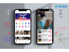 夢幻商城直播帶貨PHP后臺開發電商直播賣貨搭建APP