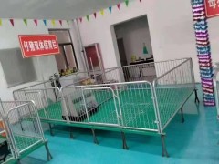 母豬產床雙體產床小豬復合保溫箱廠家