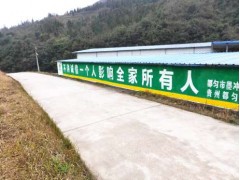 阜陽墻體廣告圖片大全 墻體噴彩繪一直致力于墻面設計