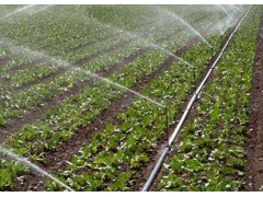 任丘市南瑞節水灌溉有限公司，河北任丘節水灌溉設備廠家