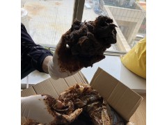 731武漢生產廠家 氧化石蠟皂全國可發