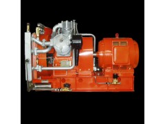 供應WP18L、WP25L、WP32L順風船用壓縮機整機