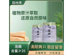園林牌蓮藕汁蘇州清涼植物萃取原味休閑飲品