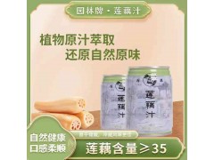 園林牌蓮藕汁清甜飲品植物萃取自然原味飲料家庭常備