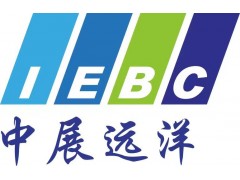 2025年阿布扎比國際海事防務展N DEX