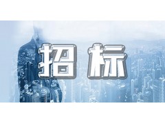 【公示】上海數字產業發展有限公司業務管理平臺開發升級項目招標