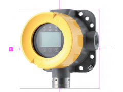 RAEGuard Lite FGM-7300探測器O2、CO