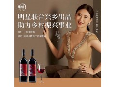 翁虹自創(chuàng)緋虹干紅葡萄酒