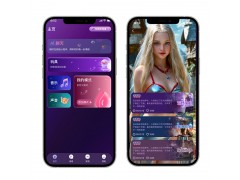 智能情趣產(chǎn)品解決方案，降低技術(shù)風(fēng)險，快速提升品牌競爭力